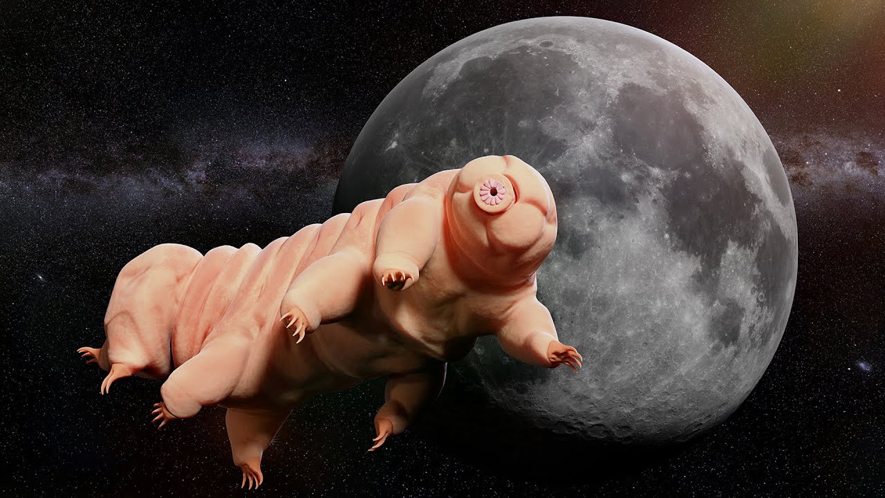 이 어마무시한 생명체는 정말 외계에서 왔을지도 모릅니다...