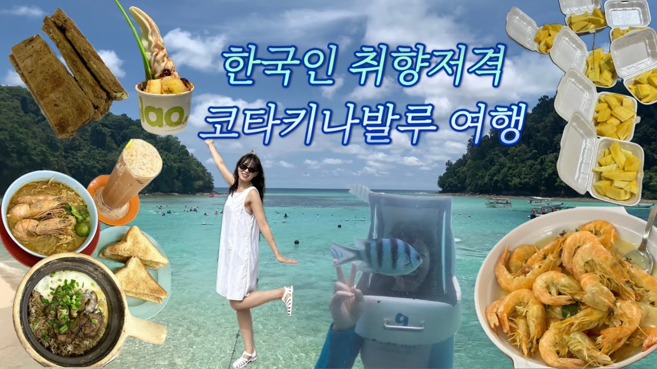 한국인 취향저격 코타키나발루 여행 낋여옴 !!! | 니모 발견🫢🧡 | 친구랑 우정 해외여행👯‍♀️