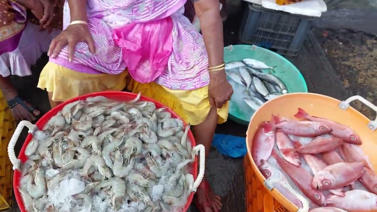 Malpe fish market - udupi Speciality famous Meenu Mangalore Karnataka India Ulidavaru Kandanthe
