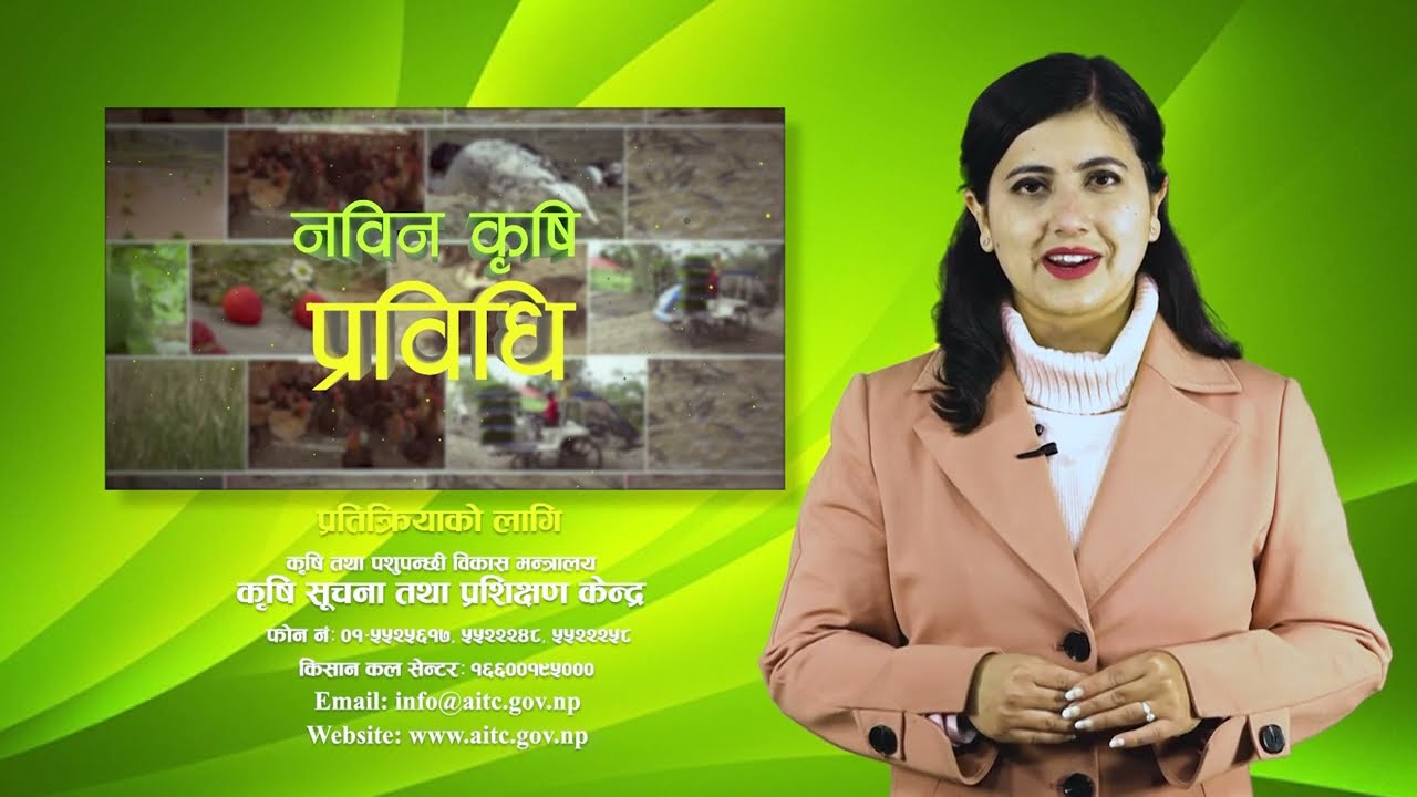 मौरी गोला निरीक्षण तथा कृत्रिम आहारा व्यवस्थापन