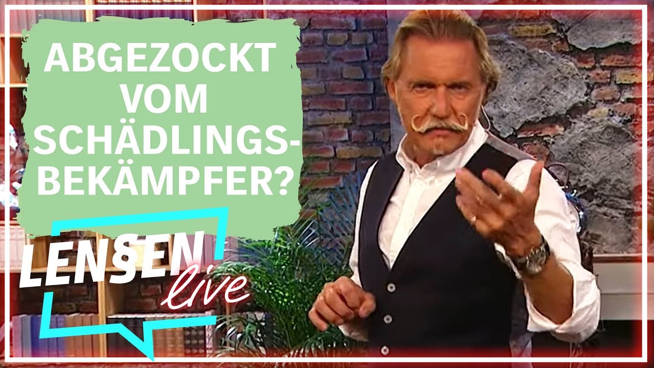 Das teuerste Wespennest der Republik! | Lenßen Live – der Kultanwalt am Telefon | SAT.1 Gold