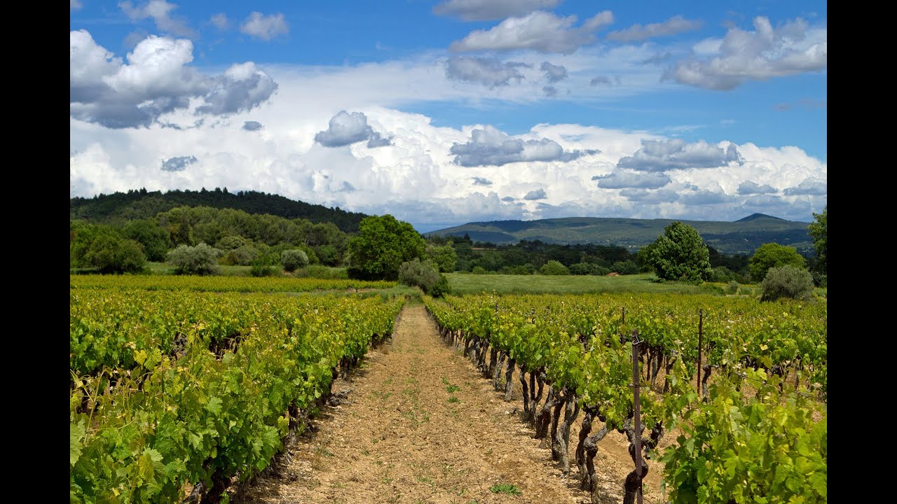 Une année avec les producteurs et les vignerons des coteaux du Luberon