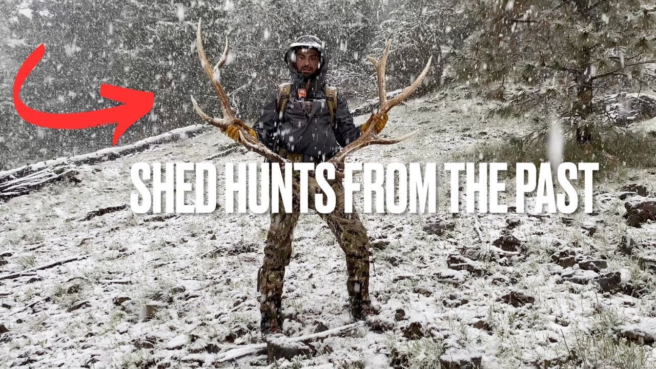 SHED HUNTS FROM THE PAST #shedhunting #hunting