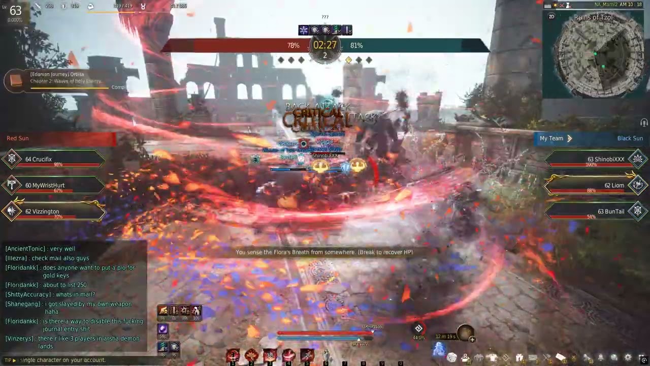 Black Desert Online... AOS ... Through the EYEs of a Succession Maegu... Controller Player