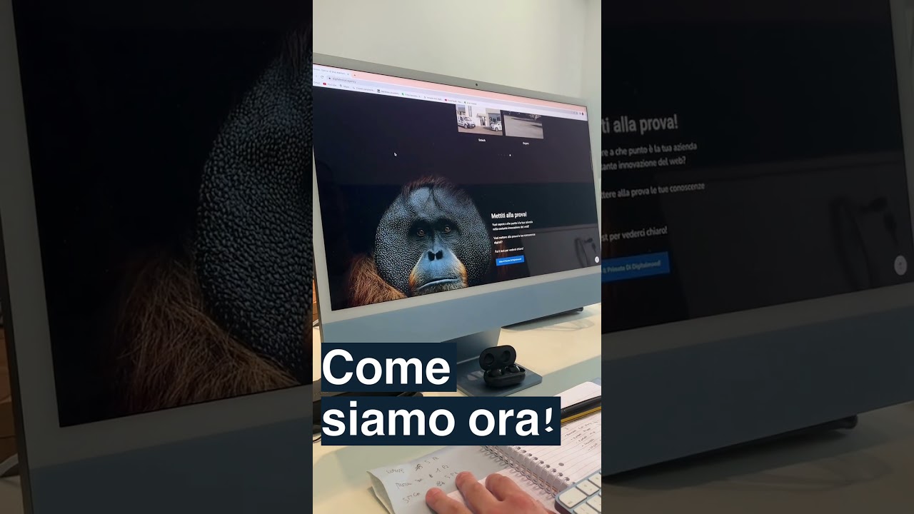 Digital Mood, la web agency di Montichiari si rinnova