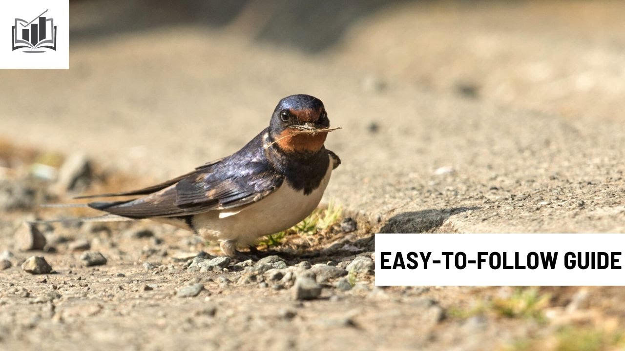 How to Start a Bird Breeding Business
