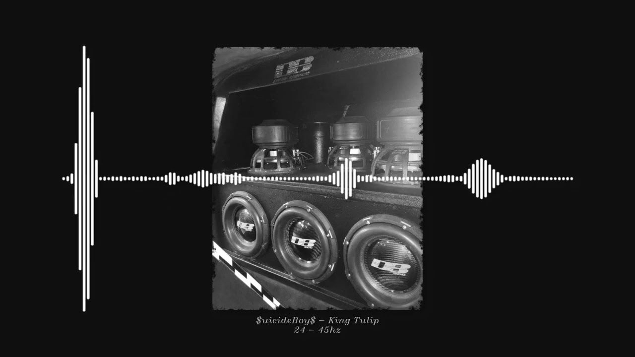 $uicideBoy$ - King Tulip Rebassed 24 - 45hz