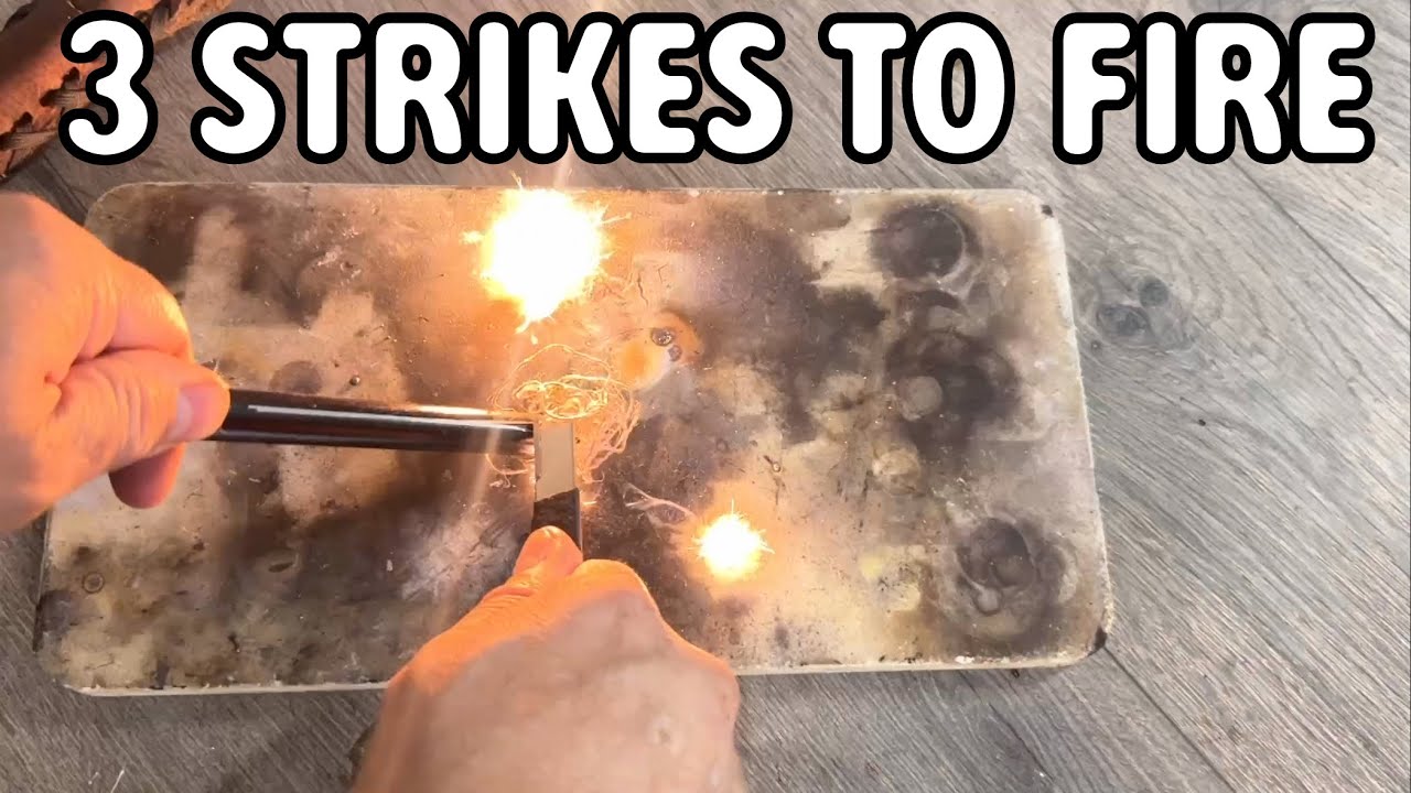 Bear Essentials Tungsten Striker Test