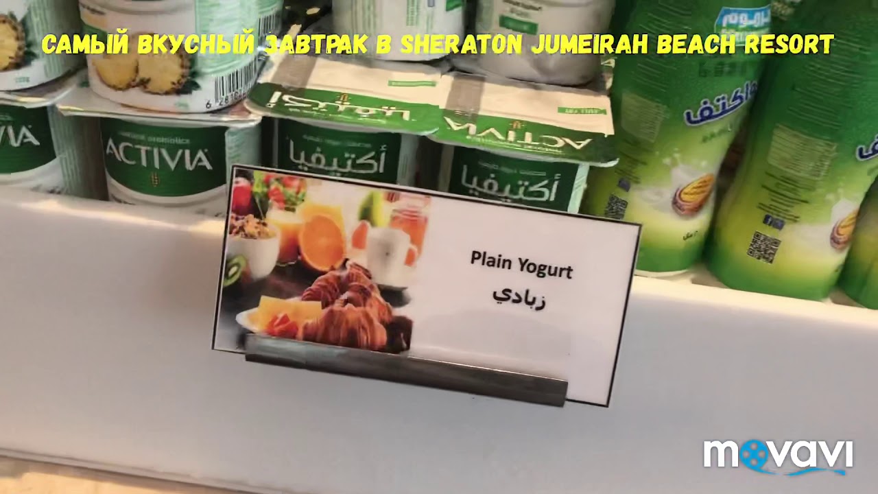 Sheraton Jumeirah Beach Dubai 5