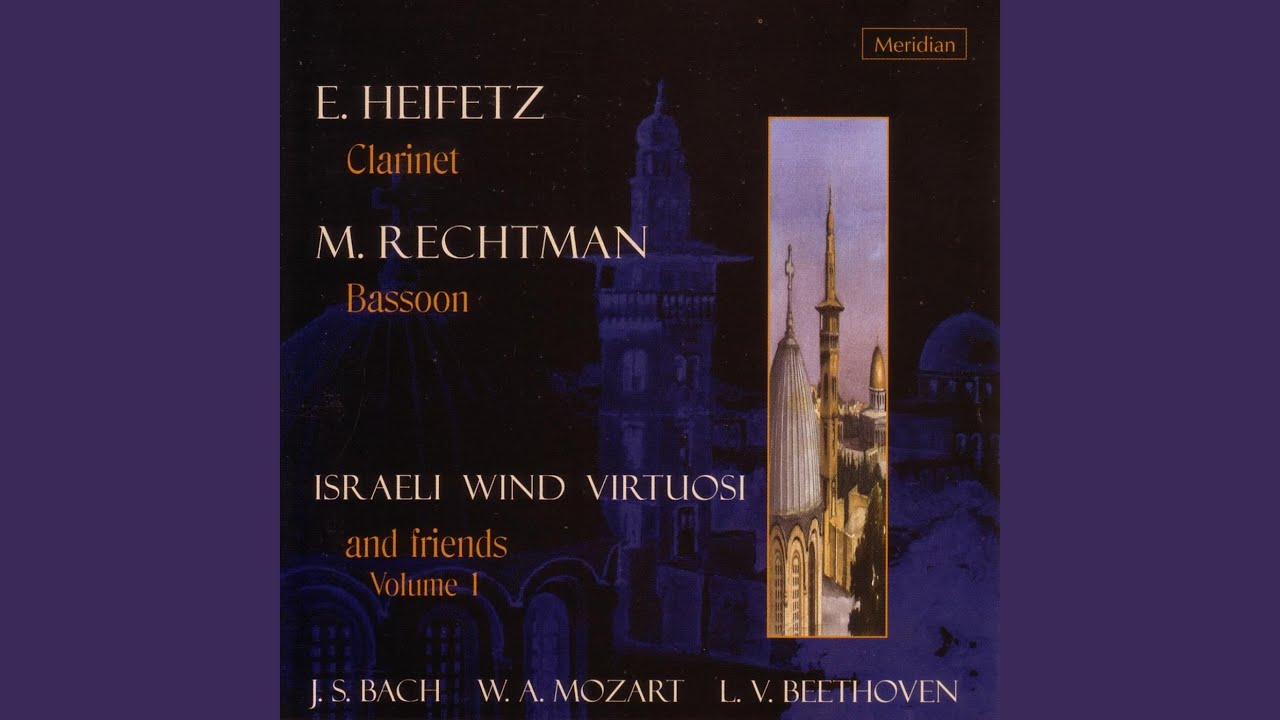 Concerto for Bassoon and String Quartet in D Minor, BWV 1056: II. Largo