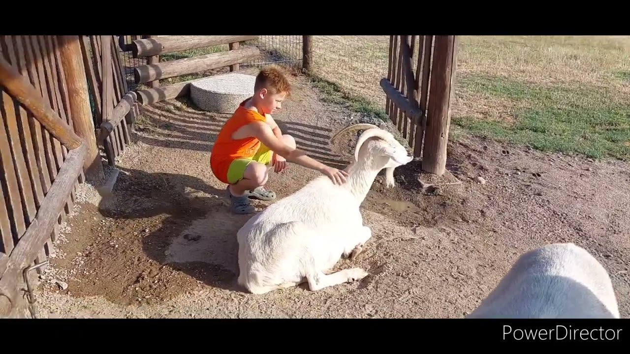 ZOO FajnPark. Chlumec nad Cidlinou. Česká republika. 05.07.2023 #zoo #fajnpark #cz
