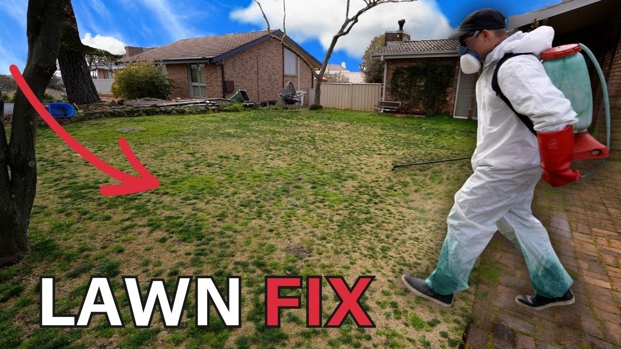 Lawn Renovation Prep // Don't Miss This Step