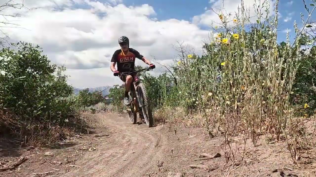 Sting Loop at Coyote