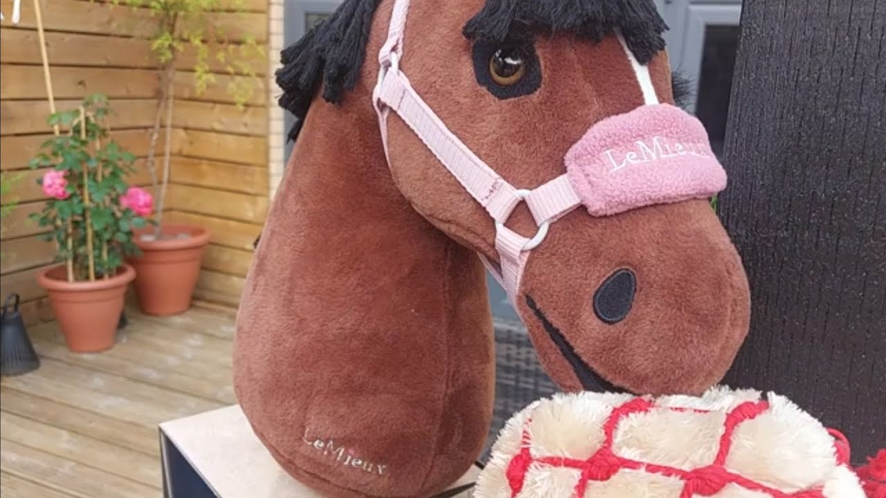 A day in the life with me and my hobby horse  #horse #equestrian #pony #horserider #hobbyhorse