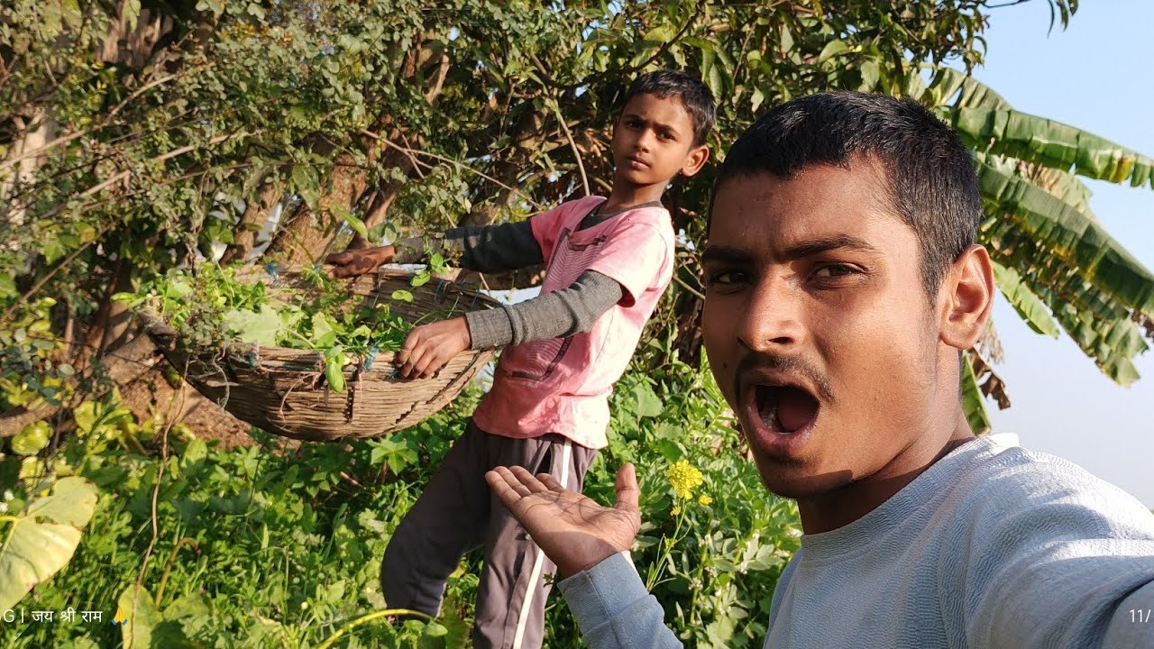 Bhai खांची इस पेड़ से बनता हैं 😮😮