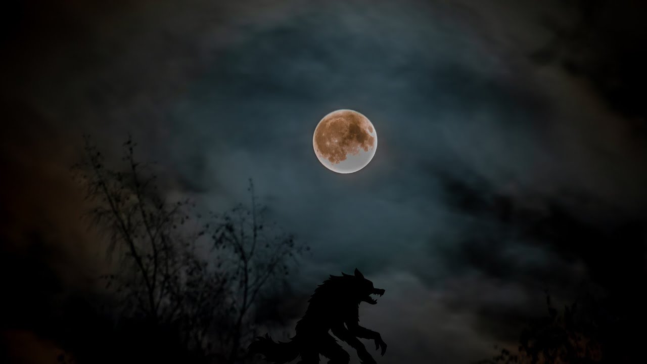 The Michigan Dogman