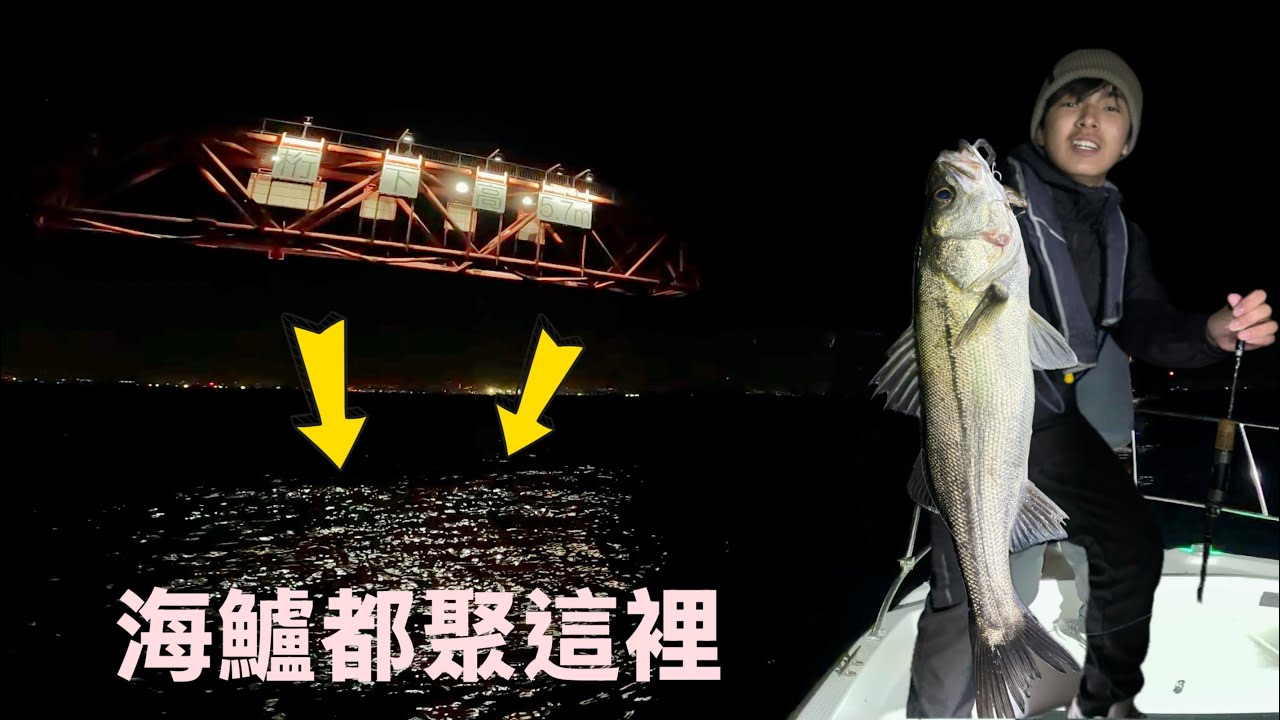 這燈橋下成群沙丁魚，大魚都聚過來了 #親子釣魚 #東京灣 #路亞