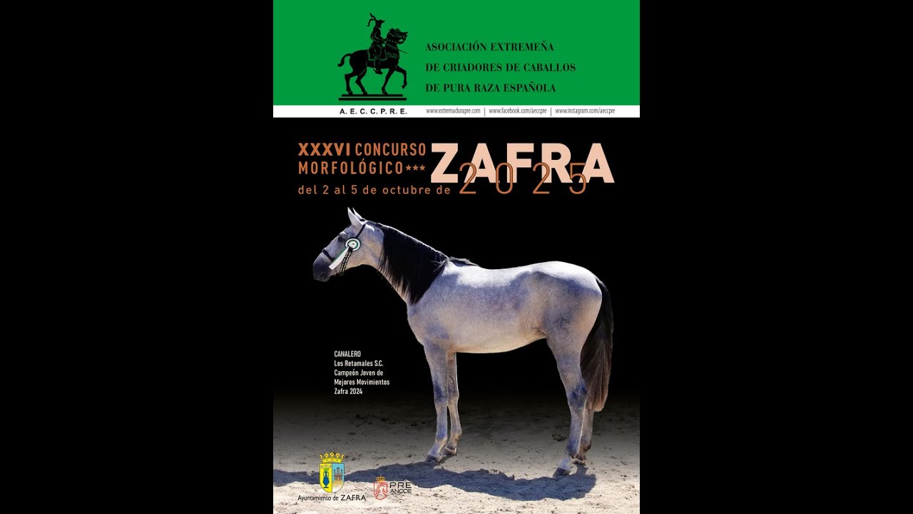 Concurso Morfológico Zafra 2025, categoría 3*, organizado por AECCPRE