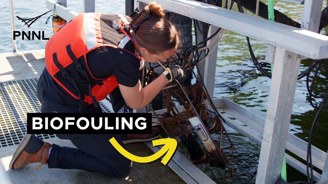 Ocean Engineering: Biofouling