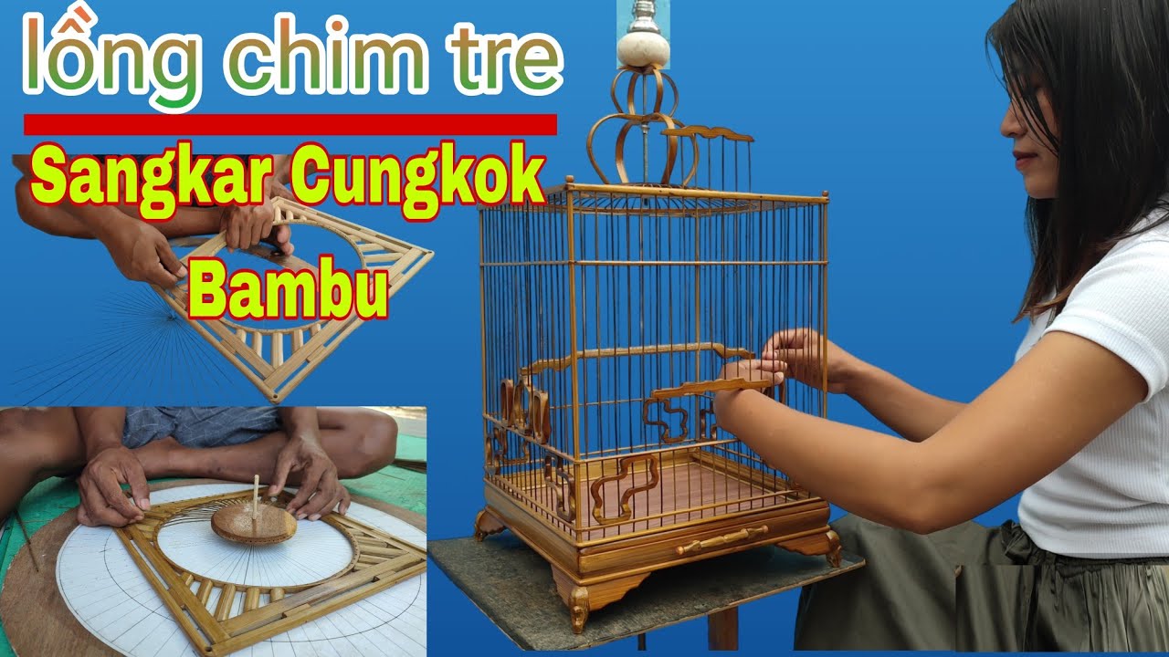 Full Tutorial Untuk Pemula⁉️  Sangkar Cungkok bambu || lồng chim tre