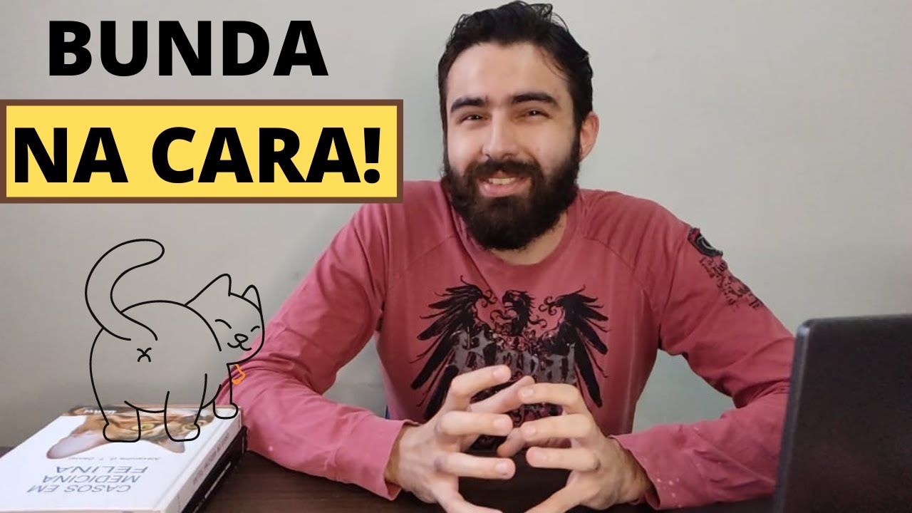 POR QUE OS GATOS COLOCAM SUAS BUNDAS EM NOSSOS ROSTOS?