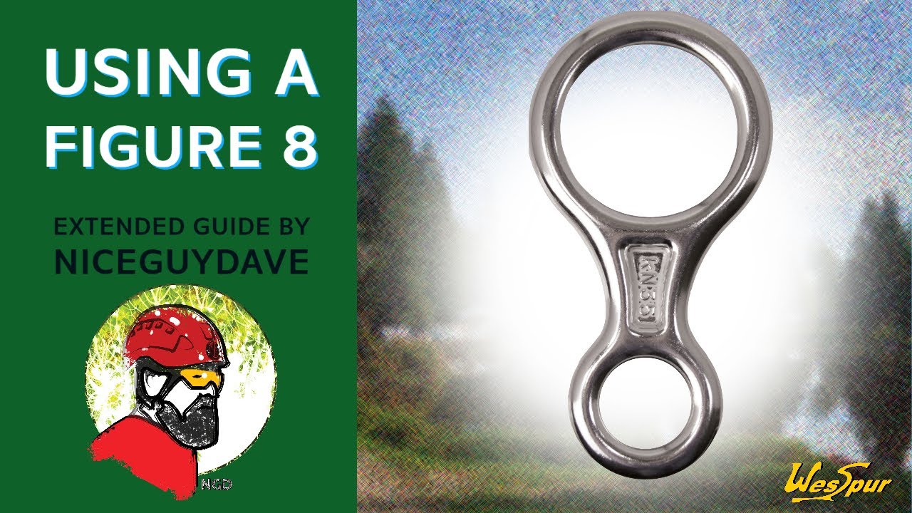 Using a figure 8 for descending the tree - WesSpur's Niceguydave demonstrates a classic tool