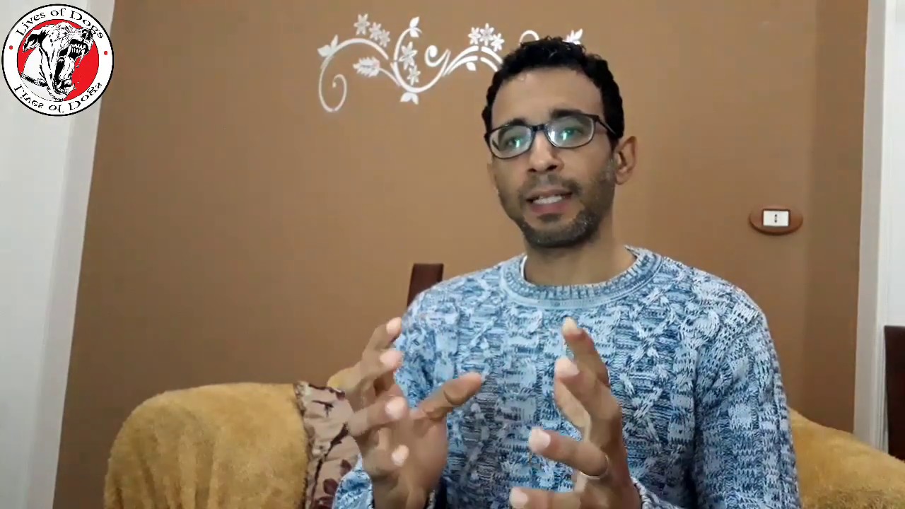 كيف تعاقب كلبك عندما يخطأ واحذر من عقابه بهذه الطريقه