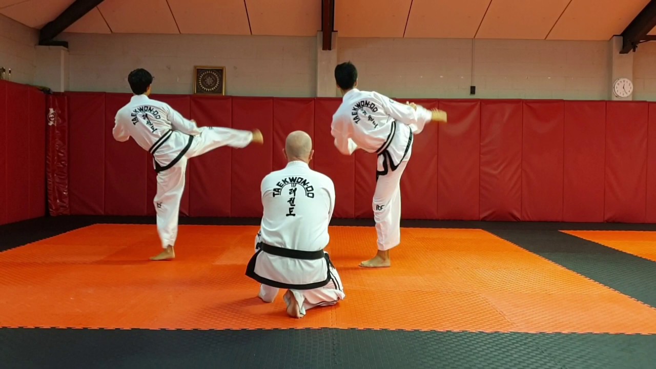 TAEKWON-DO - Gae Baek Tul
