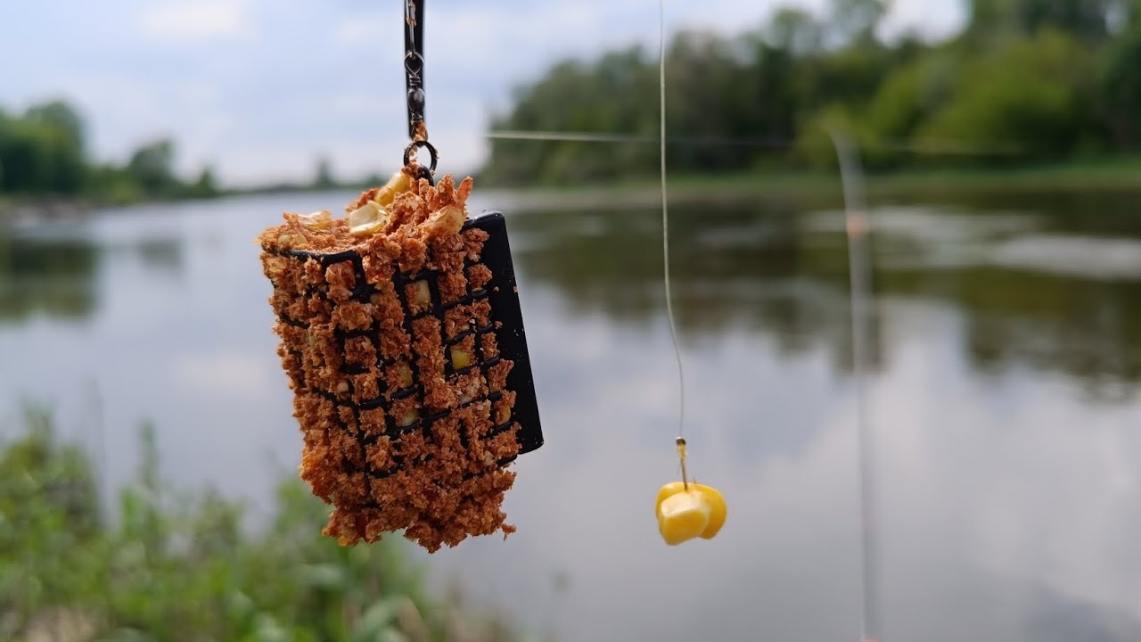 ŁOWIŁEM SUMY I KRĄPIE NA KOSZYCZEK. Cudownie na dzikiej rzece BUG