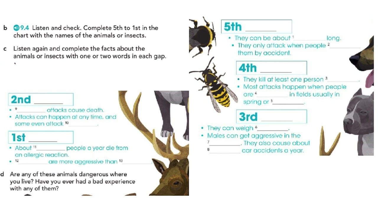 English File pre intermediate 4th edition SB_9.4