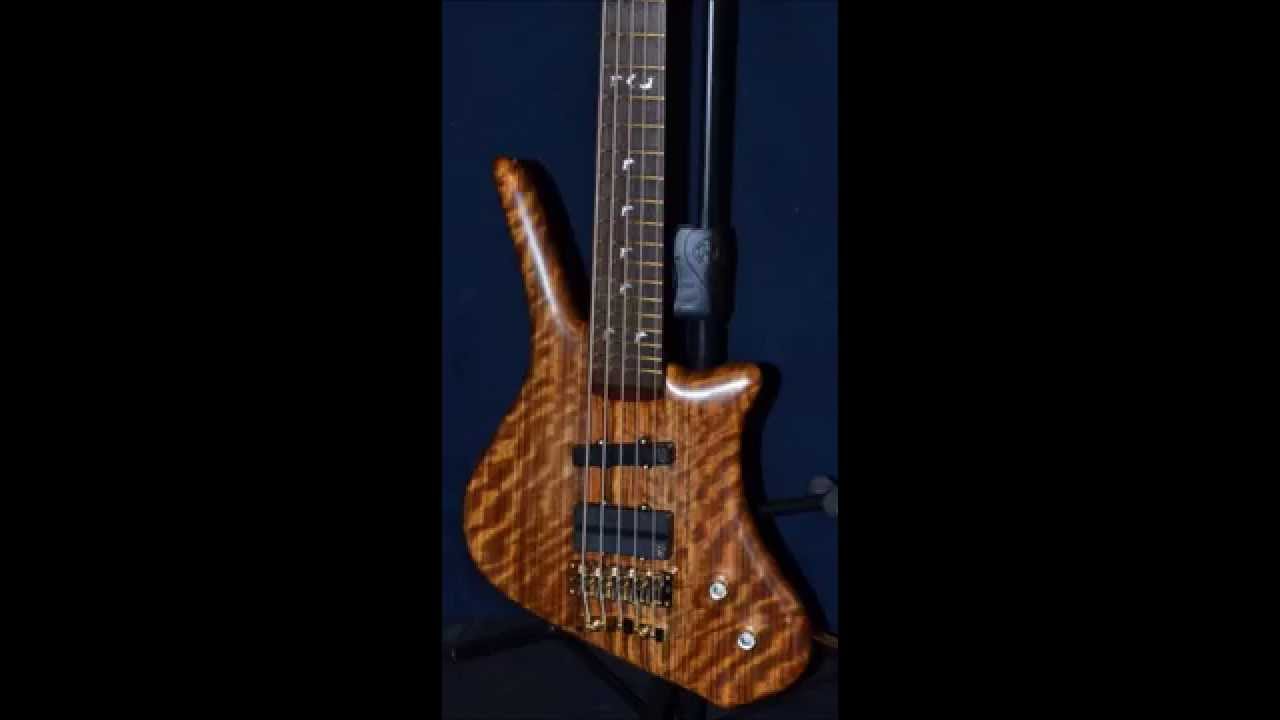 Dolphin Pro 1- Detached (Solo)