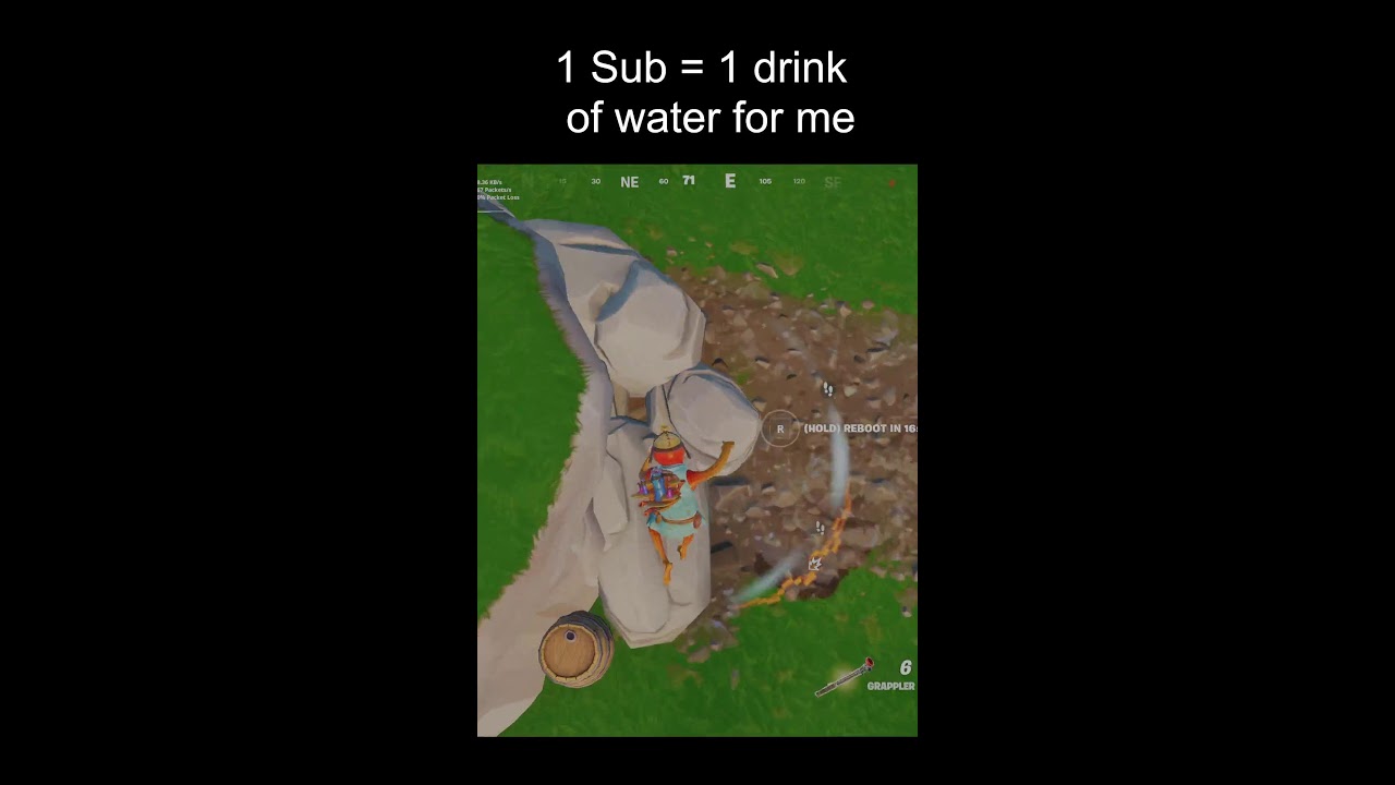 FORTNITE!!!