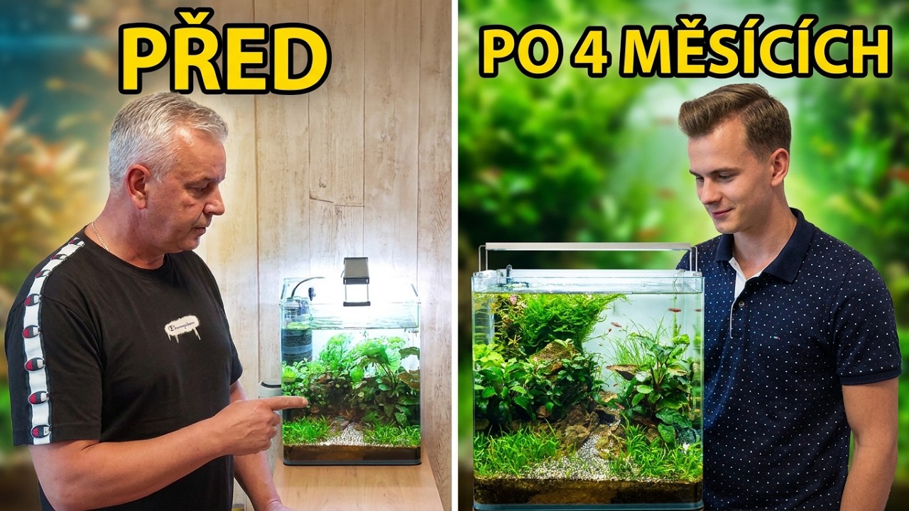 CO2 v nano akváriu změna po 4 - měsících