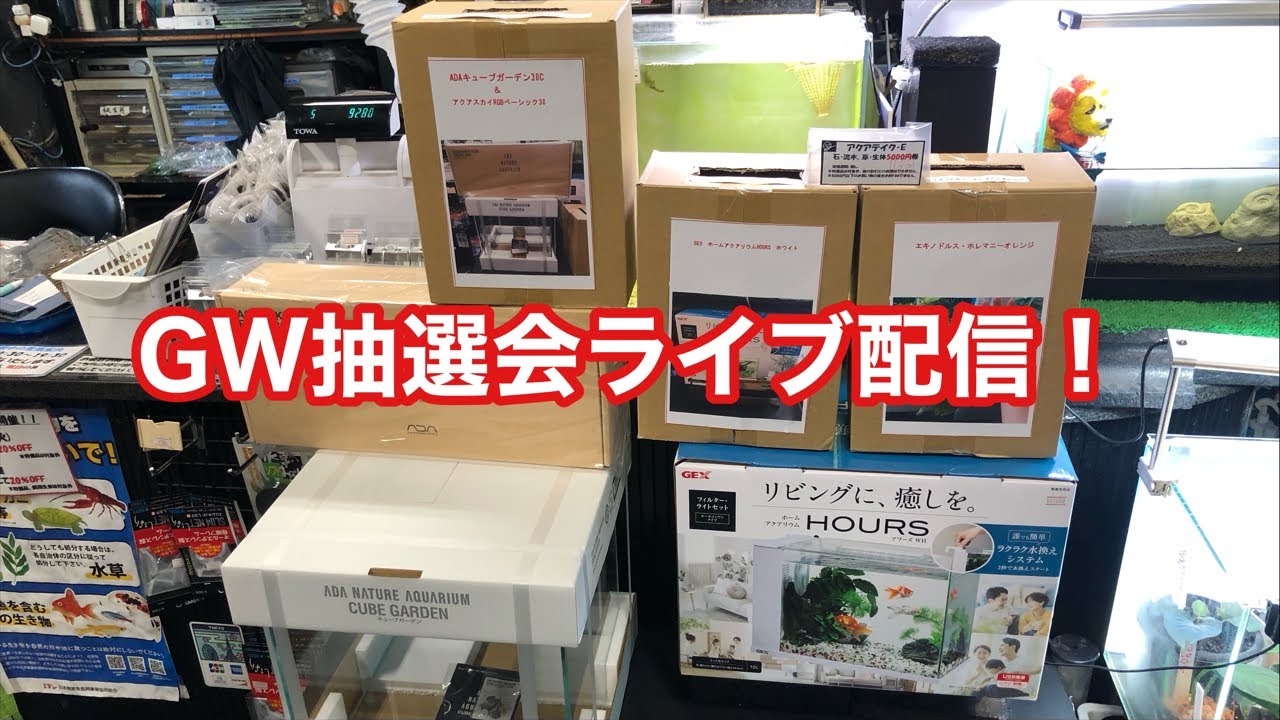 GW抽選会結果発表！