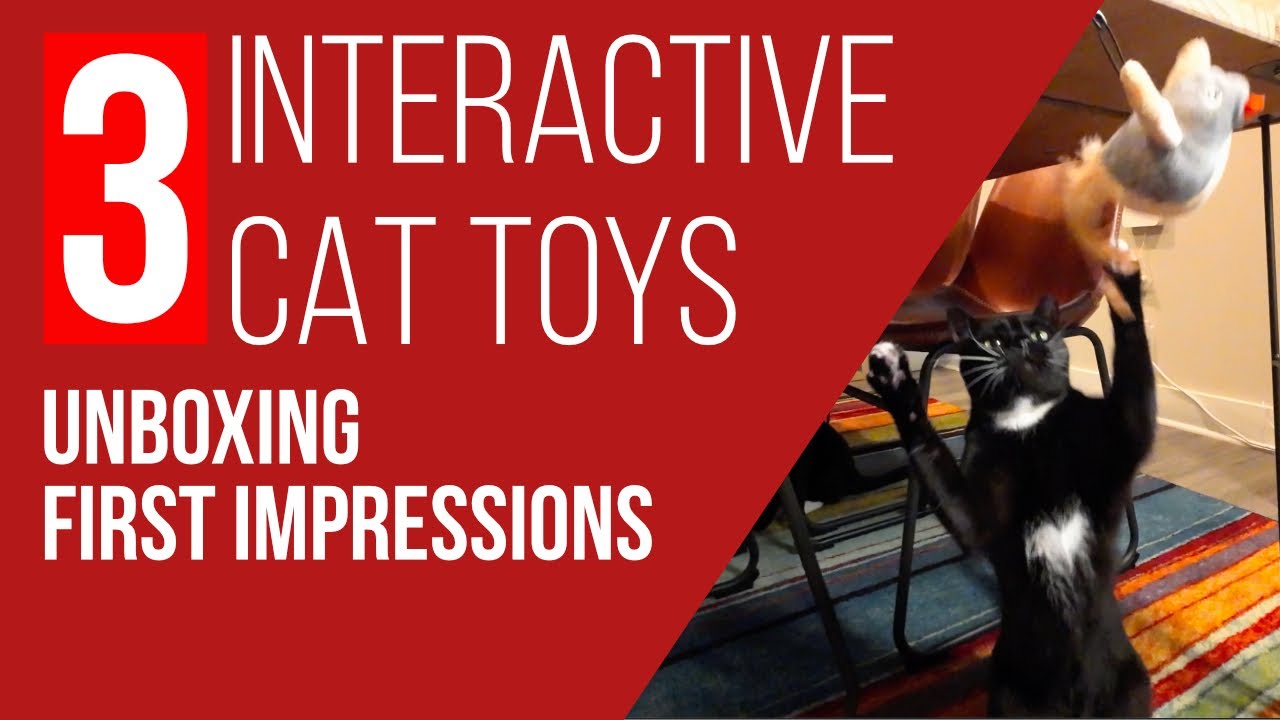 3 Interactive Cat Toys Unboxing and First Impressions | #diy #cats