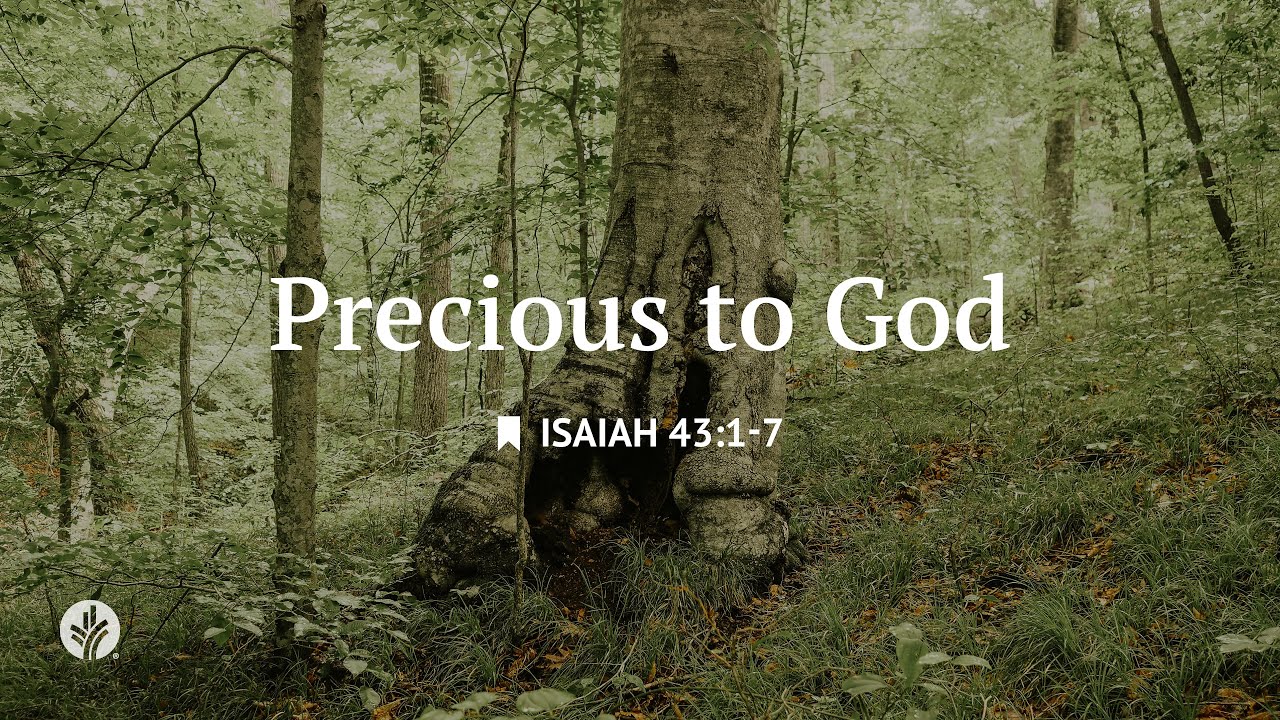 Precious to God | Audio Reading | Our Daily Bread Devotional | December 17, 2025