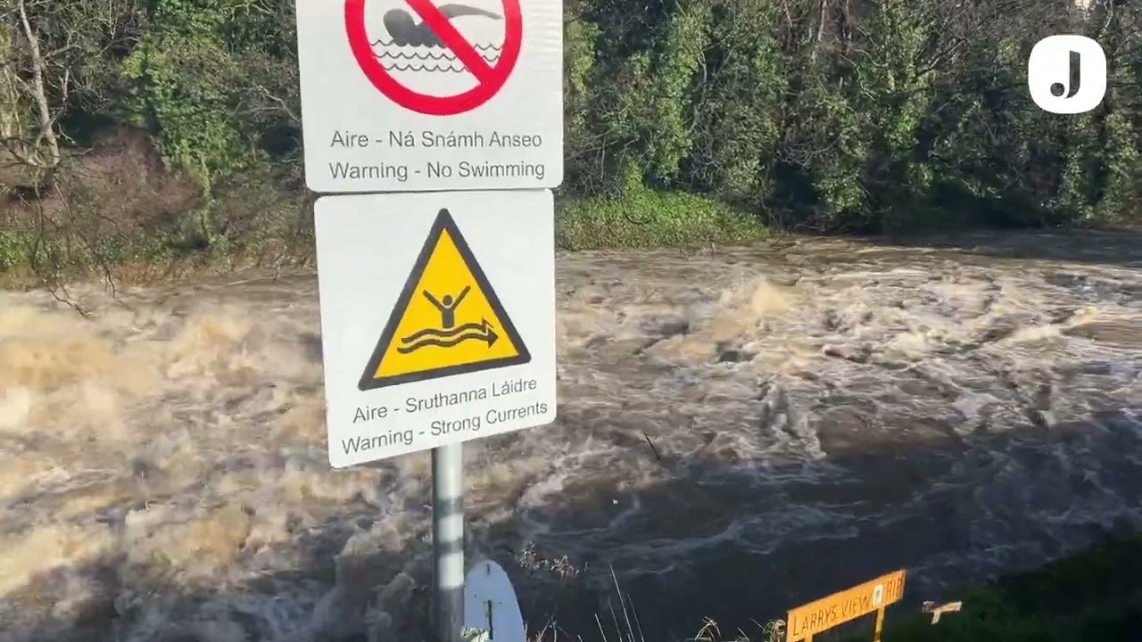 Storm Chandra: Flooding along the Dodder in Dublin