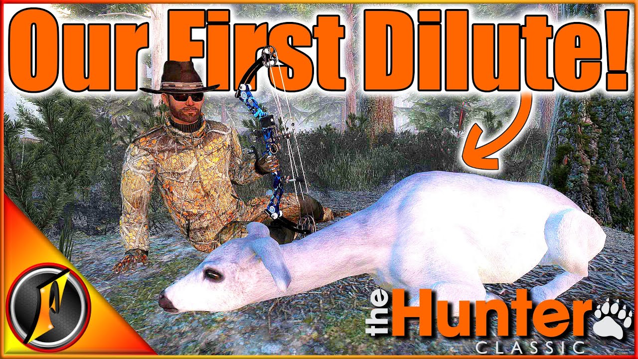 Our First DILUTE Mule Deer EVER! | Timbergold Trails theHunter Classic