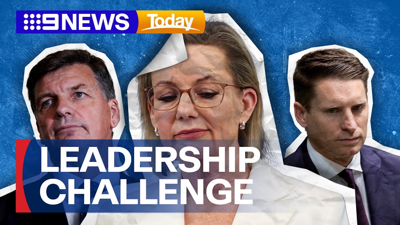 Liberal leadership challenge brewing | 9 News Australia