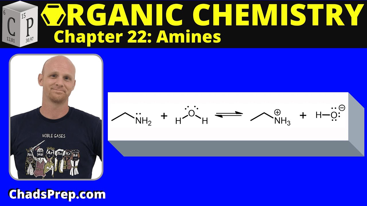 22.3 Basicity of Amines