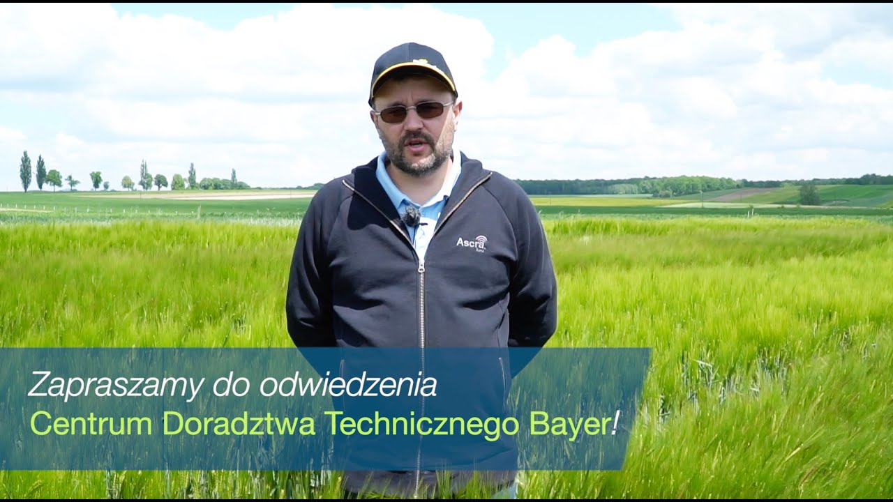 Wskaz&oacute;wki agronomiczne z Demo Centrum Chechło