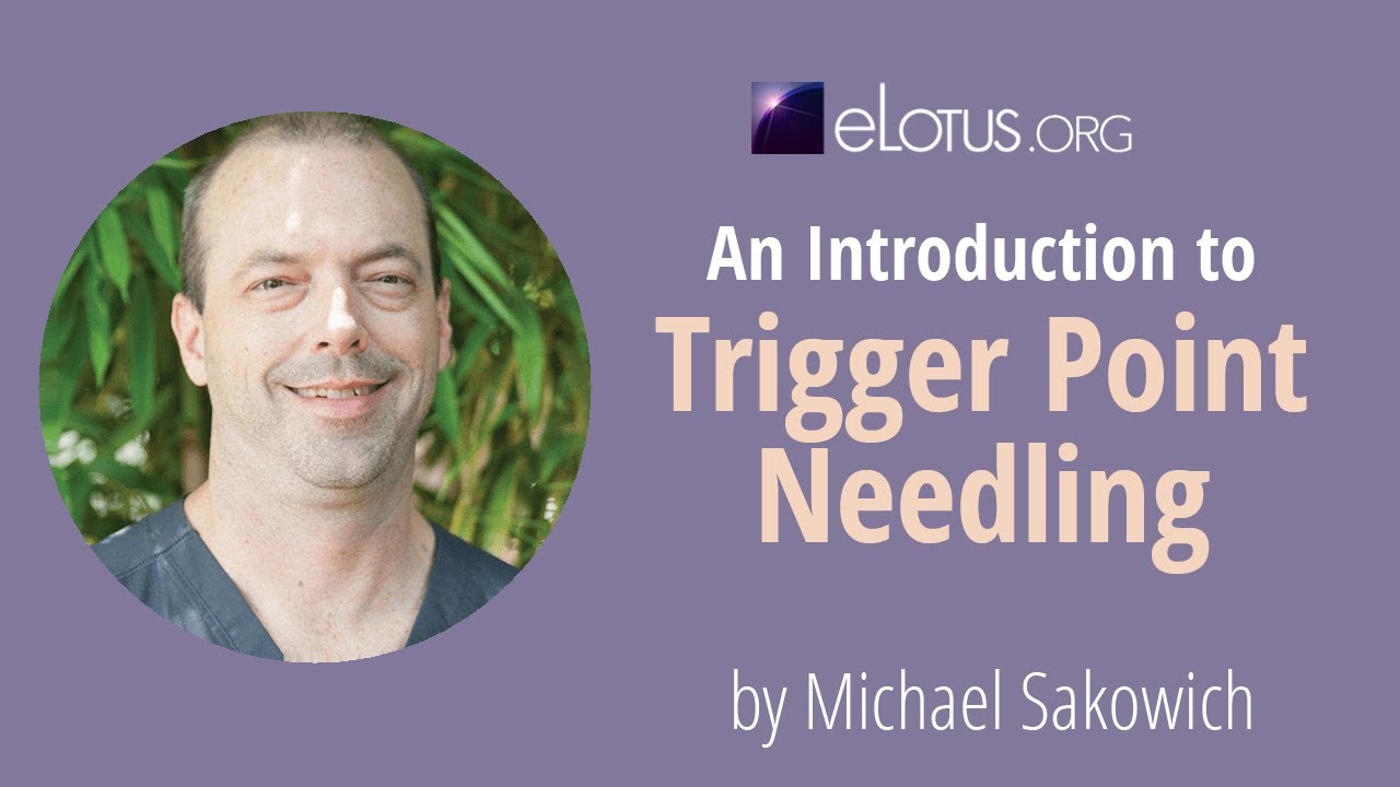 An Introduction to Trigger Point Needling