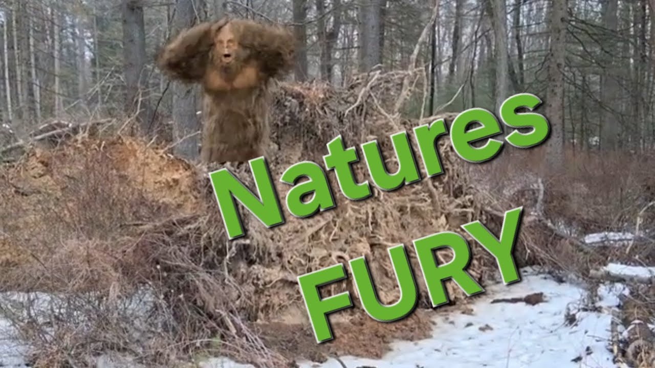 Another State Forest Picnic Area and some thoughts while we are there!