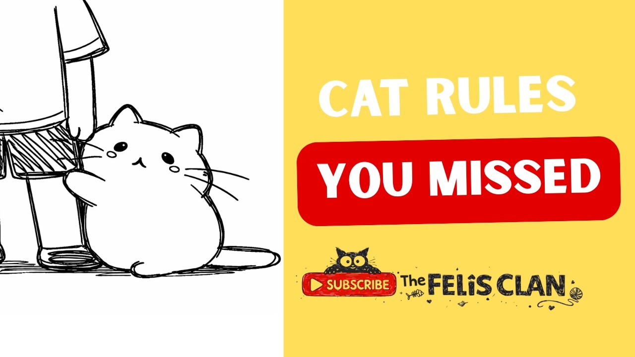 Things Cats Secretly Expect From Their Humans