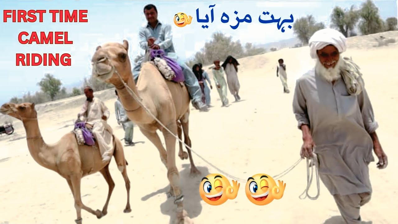 This Is My First Time Riding The Camel In Life | Aont Swari k Zindagi Ka Pehli Bar 🔥Kech e Dastan