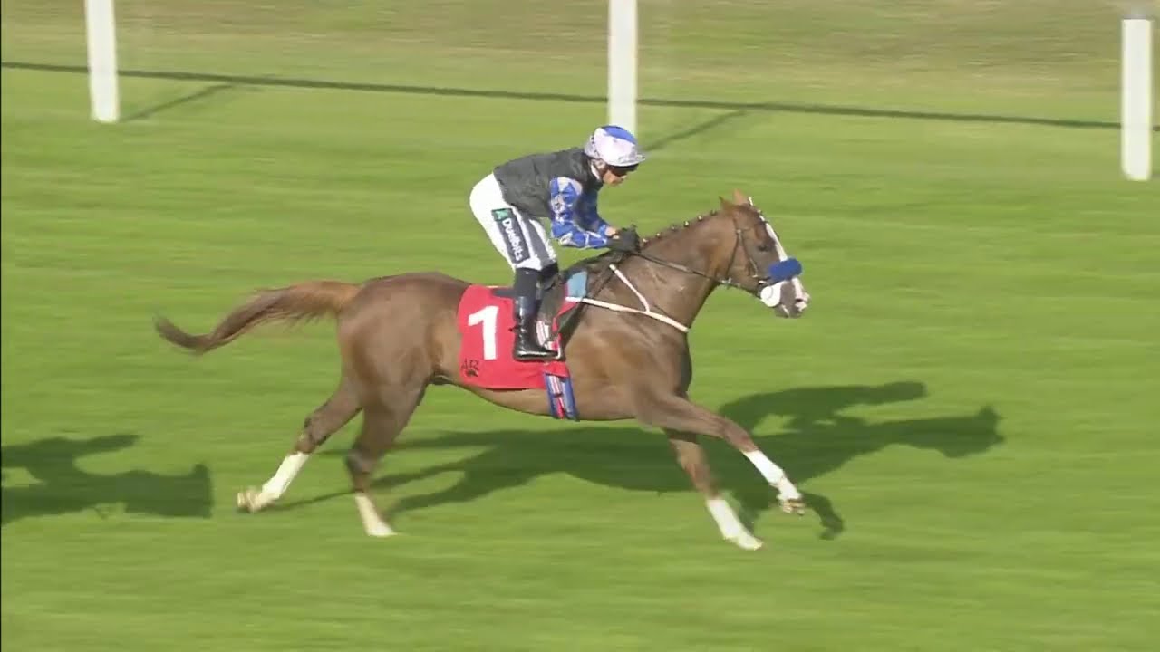 RAPIDO RACING LTD CONDITIONS STAKES