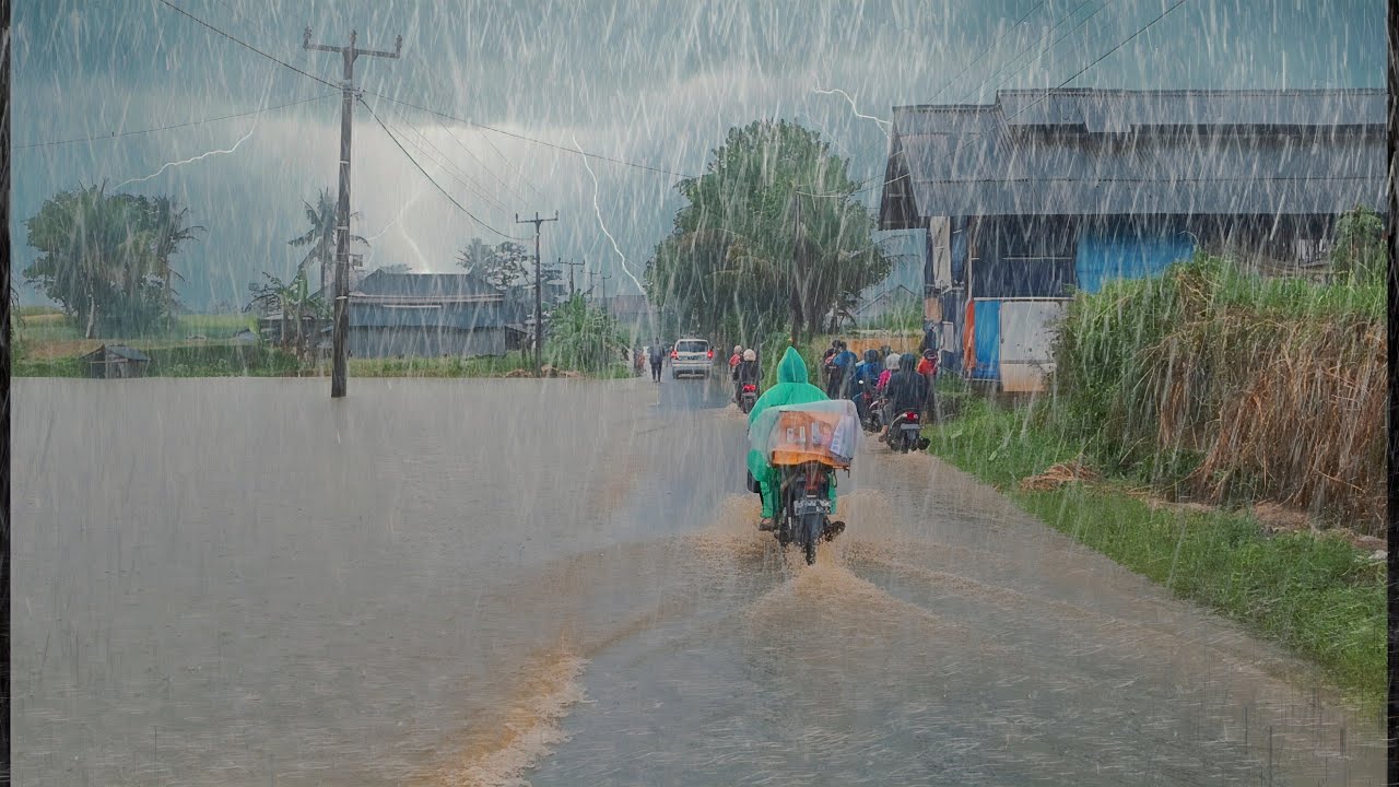 1 hour of Heavy Rain and Thunder in the Countryside | Sounds for Sleeping Well | Causes Anxiety