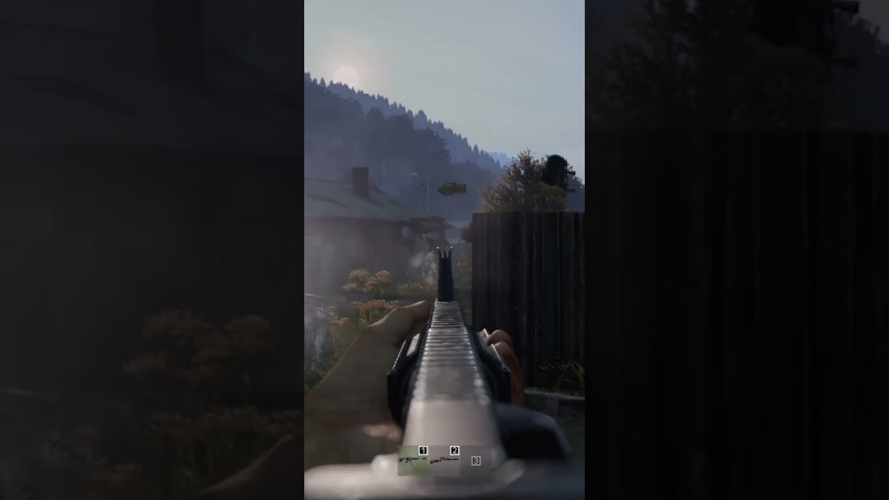 Normal Lag in DAYZ PS4 😂