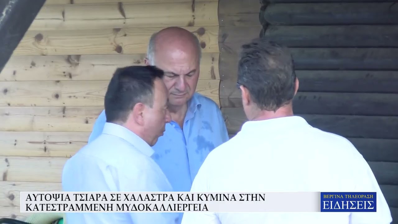 ΑΥΤΟΨΙΑ ΤΣΙΑΡΑ ΣΕ ΧΑΛΑΣΤΡΑ ΚΑΙ ΚΥΜΙΝΑ ΣΤΗΝ ΚΑΤΕΣΤΡΑΜΜΕΝΗ ΜΥΔΟΚΑΛΛΙΕΡΓΕΙΑ