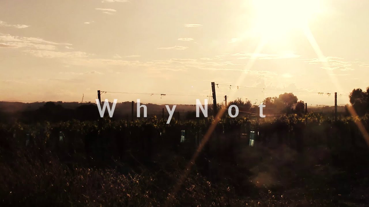 WhyNot - Caravan Palace : Dragons